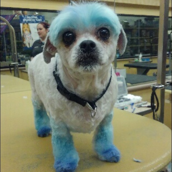 Meet your Posher - Picture 5 of 9